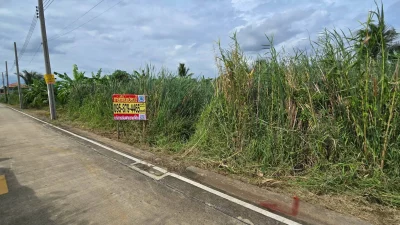 ขายด่วนที่ดิน 96 ตรว ติดถนนคอนกรีตสาธารณะ ซ.นายตึ๋ง บางกรวย นนทบุรี