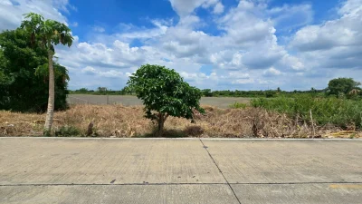 ขายด่วนที่ดิน 100 ตรว ติดถนนสาธารณะ ซ.วัดบัวสุวรรณประดิษฐ์ ลาดหลุมแก้ว ปทุมธานี