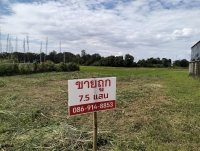 ขายด่วน ถูกมาก ที่ดินปรับถมแล้ว ในโครงการ บ้านสันมะนะ ต.ป่าอ้อดอนชัย อ.เมือง จ.เชียงราย 