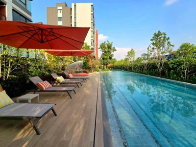 dcondo Vivid Rangsit คอนโดตรงข้าม ม.กรุงเทพ ข้ามสะพานลอย = ถึงมหาลัย พร้อมอยู่! โทร 061-616-1426
