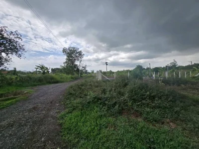 ขายที่ดินใกล้วัดป่าคลอง11 118 ตรว ติดถนนสาธารณะ ถมแล้ว คลอง 11 บึงกาสาม ปทุมธานี