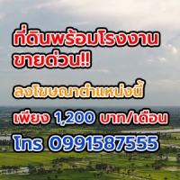 ขายที่ 19 ไร่ 2 งาน 33 ตารางวาโฉนดครุฑแดงที่ดินห่างจากเส้นหลักป่าหวายสวนผึ้ง 2