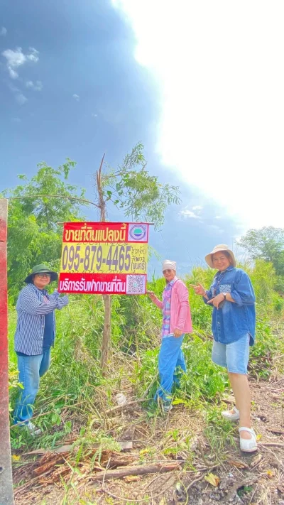 ขายด่วนที่ดินผังม่วง 200 ตารางวา ติดถนนสาธารณะ ต.ไทรใหญ่ อ.บางบัวทอง จ.นนทบุรี