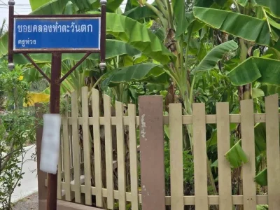 ขายด่วนที่ดิน 100 ตารางวา ติดถนนลาดยางสาธารณะ ซอยครูห่วง คลองหลวง ปทุมธานี