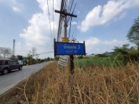 ขายถูกที่สุด ที่ดินคลองแปด 1 ไร่ ติดถนนลาดยาง ถมแล้วทั้งแปลงซอย บึงบอน 3 อ.หนองเสือ จ.ปทุมธานี