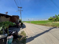 ขายด่วนที่ดินคลองหก 200 ตรว ใกล้วัดเกตุประภา ซ.ลำลูกกา 97 อ.ลำลูกกา จ.ปทุมธานี