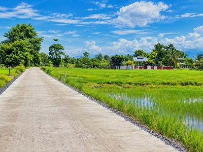 ขายด่วน ที่ดินศรีนาวา แปลงสวย วิวภูเขา ราคาน่ารักมาก 118 ตร.ว. เพียง 390,000 บาทเท่านั้น!