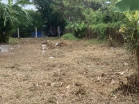 ขายที่ดิน ซอยนวมินทร์ 74 แยก 3-7-1 เนื้อที่ 155 ตร.ว. เขตคันนายาว กทม. สนใจโทร 0814204660