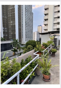 Selling land with old building prime Zone Sukhumvit