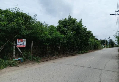 ขายที่ดิน 214 ตร.ว. หน้าม.เกษตรกําแพงแสน ถนนมาลัยแมน อำเภอกําแพงแสน นครปฐม