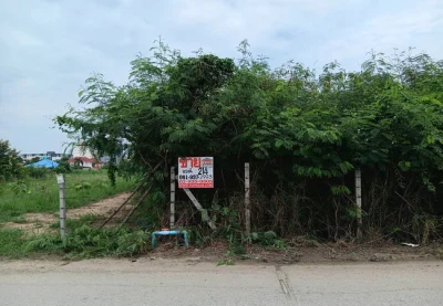 ขายที่ดิน 214 ตร.ว. หน้าม.เกษตรกําแพงแสน ถนนมาลัยแมน อำเภอกําแพงแสน นครปฐม