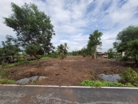 ขายถูก ที่ดินผังสีม่วง 655 ตารางวา ติดถนนเลียบคลองหนึ่ง ต.ไทรใหญ่ อ.ไทรน้อย จ.นนทบุรี  