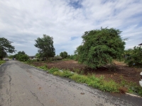 ขายถูก ที่ดินผังสีม่วง 655 ตารางวา ติดถนนเลียบคลองหนึ่ง ต.ไทรใหญ่ อ.ไทรน้อย จ.นนทบุรี  