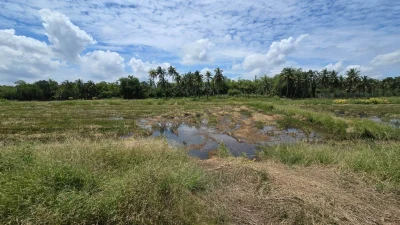 ขายด่วนที่ดิน 600 ตรว ติดถนนสาธารณะ ต.มหาสวัสดิ์ อ.พุทธมณฑล จ.นครปฐม