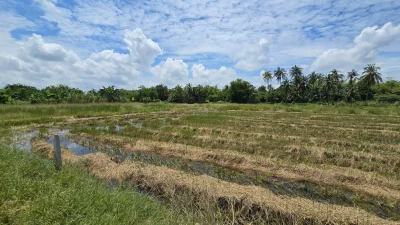 ขายด่วนที่ดิน 600 ตรว ติดถนนสาธารณะ ต.มหาสวัสดิ์ อ.พุทธมณฑล จ.นครปฐม
