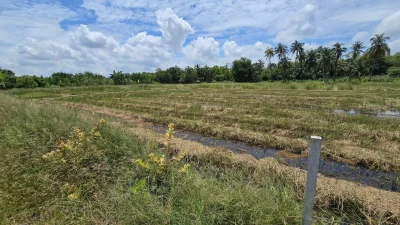 ขายด่วนที่ดิน 600 ตรว ติดถนนสาธารณะ ต.มหาสวัสดิ์ อ.พุทธมณฑล จ.นครปฐม