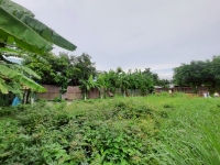 ขายที่ดินลาดสวาย 62 ตารางว ติดถนนคอนกรีตสาธารณะ  ซอย ร่วมสุข 4 อ.ลำลูกกา จ.ปทุมธานี