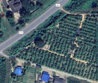 ที่ดิน 7 ไร่ 2 งาน 89 ตารางวา จังหวัดเพชรบุรี ติดถนนทางหลวงแผ่นดิน ราคา 7,000,000 บาท สามารถต่อรองได้