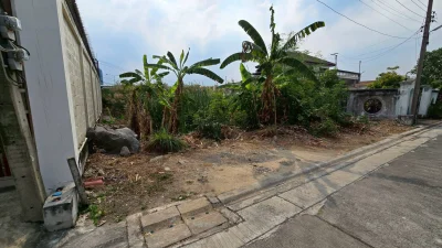 ขายด่วนที่ดินถนนเลี่ยงเมืองปากเกร็ด 96 ตรว ติดถนนสาธารณะปากเกร็ด นนทบุรี