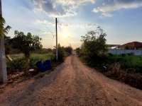 ขายที่ดินสร้างบ้านสวน 200 ตารางวา ติดถนนสาธารณะ ถมแล้ว ซอย คลองห้าตะวันออก 3 อ.คลองหลวง จ.ปทุมธานี