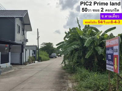 ขายที่ดิน พหลโยธิน 54ทับ 1แยก843 ซอยตาลเดี่ยว 50 วาแปลงสวย ซอย2 คอนกรีตแปลงสุด ท้าย ทิศใต้ด่วน 1.25 ล้านบาทสุดท้าย หรือคุณจะเข้าสายไหมซอย 6 แปลงสุดท้ายต้นๆซอย 2 คอนกรีตกว้าง 10 เมตร ลึก 20 เมตร แปลงหาไม่ได้ขายเกือบหมดแล้วแถวนี้