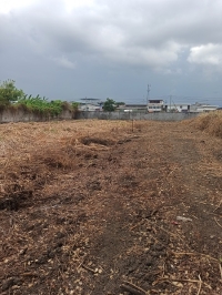 ที่ดินแบ่งขาย50ตรว. 100ตรว. 200ตรว. พระราม2 ถนนธนบุรี-ปากท่อ บางกระดี่ บางขุนเทียน กรุงเทพ