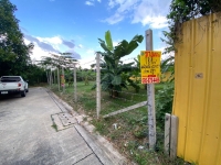 Vายด่วน ที่ดินตลิ่งชัน 119 ตร.ว ถมแล้วทั้งแปลง ติดถนนคอนกรีตสาธารณะ ซ.สวนผัก 42 ตลิ่งชัน กทม.