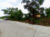 ขายที่ดินใกล้มอเตอร์เวย์ 11 ไร่ 303 ตรว ติดถนนคอนกรีตเลียบคลองแอน คลองสี่ตะวันตก อ.คลองหลวง จ.ปทุมธานี