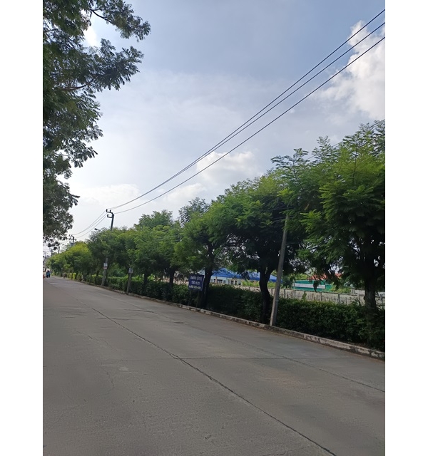 ขายที่ดินทำลสุขาภิบาล 5 ซอย82