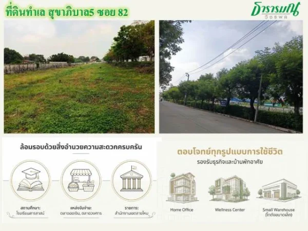 ขายที่ดินทำลสุขาภิบาล 5 ซอย82