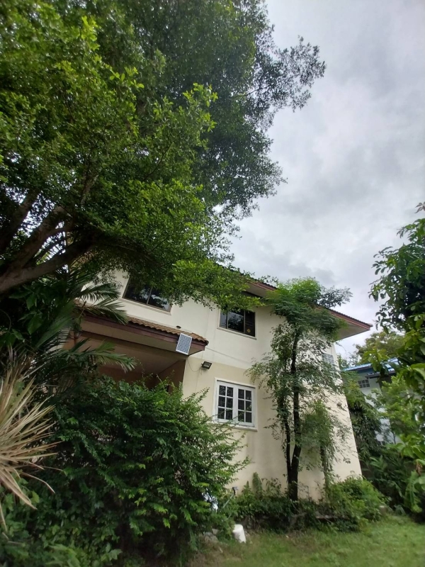 ขายบ้านเดี่ยว 2 ชั้น 104 ตร.วา ใกล้สถานีรถไฟฟ้าสายสีแดง