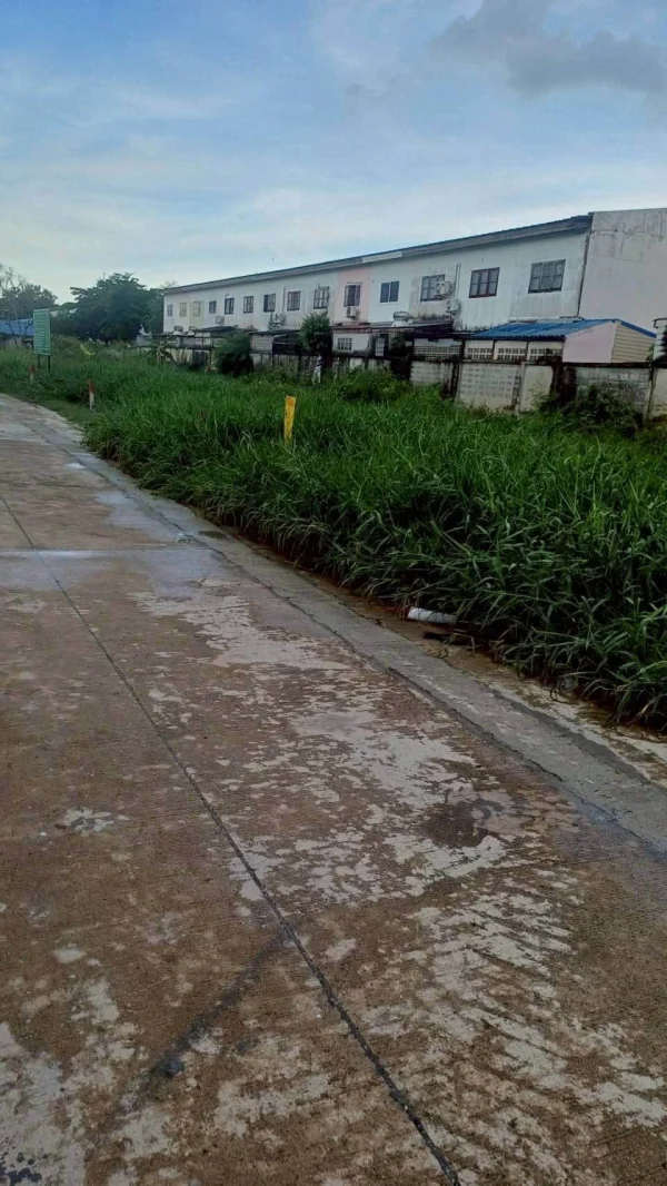 ขายถูกที่ดินลำลูกกา 34 ตรว ติดถนนคอนกรีตสาธารณะ ซ.เมตตา ต.บึงคำพร้อย จ.ปทุมธานี