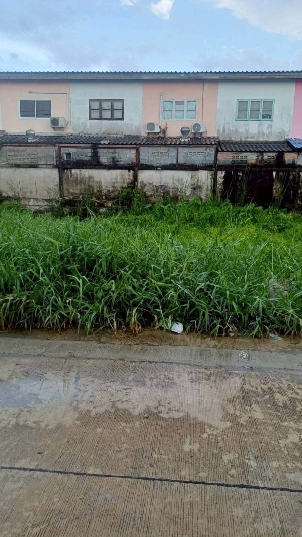 ขายถูกที่ดินลำลูกกา 34 ตรว ติดถนนคอนกรีตสาธารณะ ซ.เมตตา ต.บึงคำพร้อย จ.ปทุมธานี