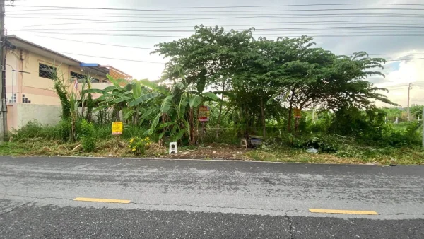 ขายถูกที่ดินต่ำกว่าราคาประเมิน 128 ตรว ติดถนนคอนกรีต 2 ด้าน ถมแล้ว ซ.ปลาหมึก, ซอยบัวทองแลนด์ บางบัวทอง นนทบุรี