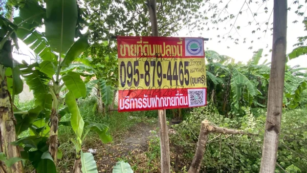 ขายถูกที่ดินต่ำกว่าราคาประเมิน 128 ตรว ติดถนนคอนกรีต 2 ด้าน ถมแล้ว ซ.ปลาหมึก, ซอยบัวทองแลนด์ บางบัวทอง นนทบุรี