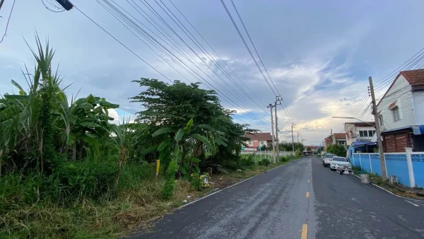 ขายถูกที่ดินต่ำกว่าราคาประเมิน 128 ตรว ติดถนนคอนกรีต 2 ด้าน ถมแล้ว ซ.ปลาหมึก, ซอยบัวทองแลนด์ บางบัวทอง นนทบุรี