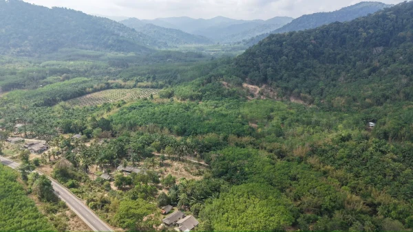 ขายที่ดิน แปลงสวย 100ไร่ คิดลำธารธรรมชาติ 1กิโล