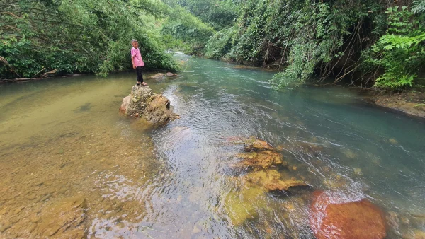 ขายที่ดิน แปลงสวย 100ไร่ คิดลำธารธรรมชาติ 1กิโล