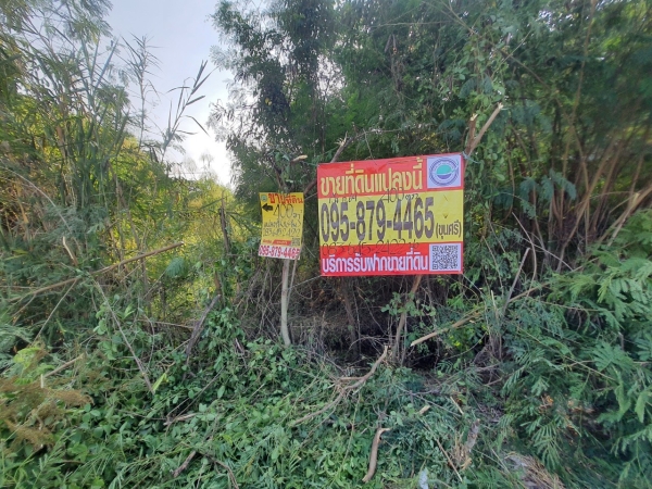 ขายด่วน ที่ดินใกล้ถนน 346 เนื้อที่ 1 ไร่ ติดถนนเทศบาล 1 แนวถนนกว้าง  10 ม. อ.ลาดหลุมแก้ว  จ.ปทุมธานี