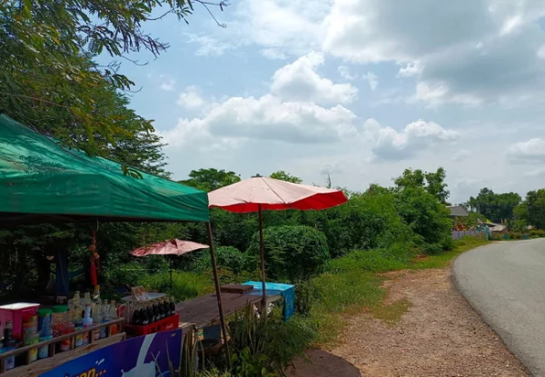 ขายที่ดิน 4-3-91.7 ไร่ ใกล้โรงพยาบาลดอนตูม ตำบลลำเหย อำเภอดอนตูม นครปฐม