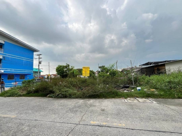 ขายถูก ที่ดินลาดสวาย 74 ตารางว ติดถนนคอนกรีตสาธารณะ 3 ด้าน ซอยร่วมสุข 2 อ.ลำลูกกา จ.ปทุมธานี