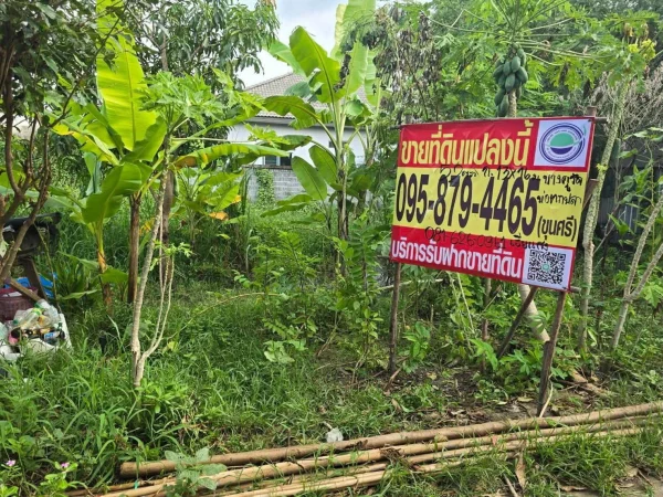 ขายด่วนที่ดิน 52 ตรว ติดถนนลาดยางสาธารณะ ถมแล้ว ต.บางคูรัด อ.บางบัวทอง จ.นนทบุรี