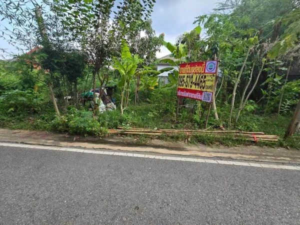ขายด่วนที่ดิน 52 ตรว ติดถนนลาดยางสาธารณะ ถมแล้ว ต.บางคูรัด อ.บางบัวทอง จ.นนทบุรี