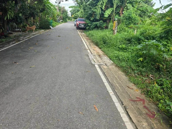 ขายด่วนที่ดิน 52 ตรว ติดถนนลาดยางสาธารณะ ถมแล้ว ต.บางคูรัด อ.บางบัวทอง จ.นนทบุรี