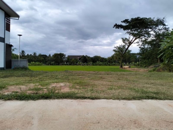 ขายที่ดินทำเลทองติดถนน 4 เลน ใกล้ รพ.พาน เชียงราย