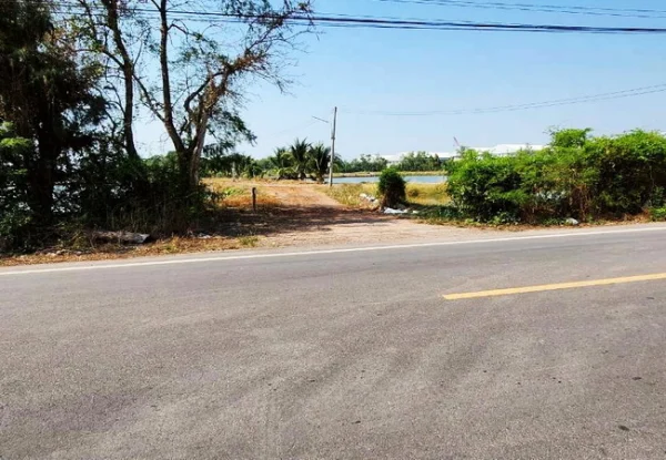 ขายที่ดิน 83 ไร่ ดอนหอยหลอด ตำบลบางจะเกร็ง อำเภอเมือง สมุทรสงคราม
