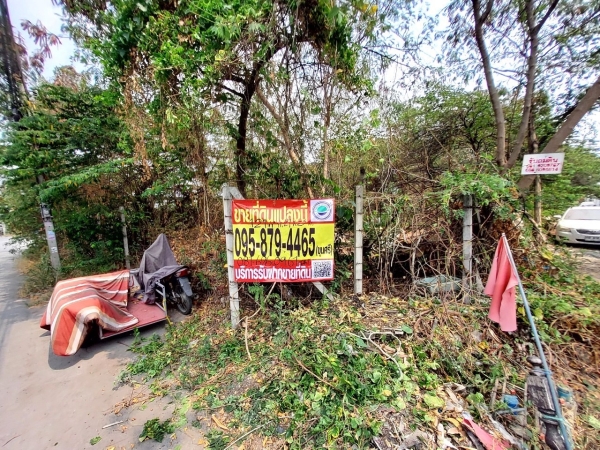 ขายที่ดินพัฒนาการตัดใหม่ 121 ตารางวา ติดถนนลาดยางสาธารณะ ซอยร่มเกล้า 23 แยก 1 แขวง คลองสามประเวศ เขต ลาดกระบัง กทม.