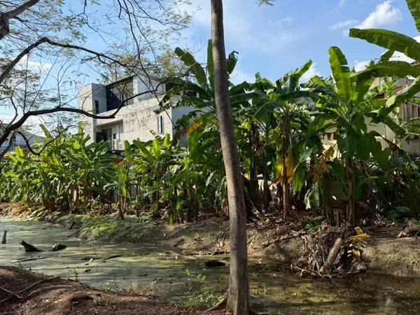 ขายที่ดิน 6 ไร่ 69 ตร.ว. ที่ พหลโยธิน35 แยก19 ซ.สังข์ทอง 9 ใกล้เมเจอร์รัชโยธิน โทร 0906360022