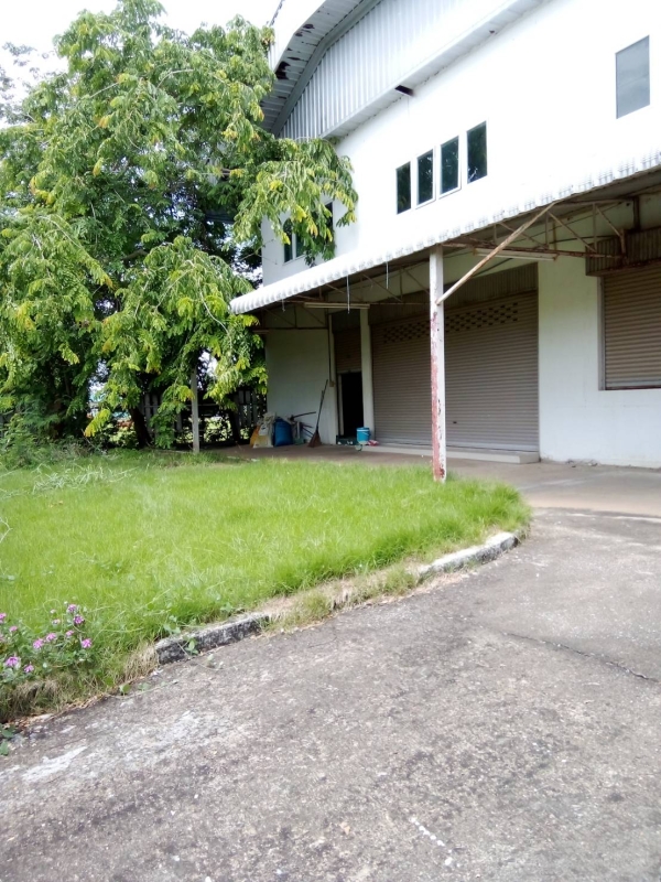 Sale land with Ware House about 1452 sqm. at Nakhonrachsima or korat