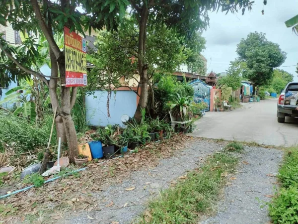 ขายด่วนที่ดิน 55 ตรว ติดถนนสาธารณะ ซ.จรูญสอนดี คลองสองต้นนุ่ม เขตลาดกระบัง กทม.